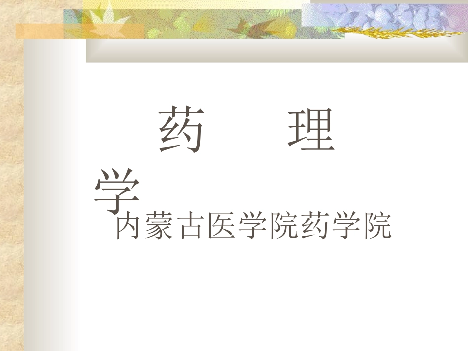 血脑屏障ppt_第1页