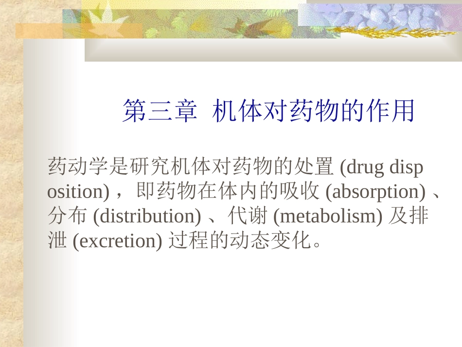 血脑屏障ppt_第2页
