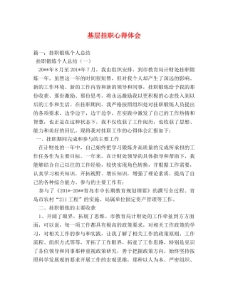 基层挂职心得体会 