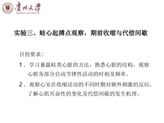 蛙心起搏点观察,期前收缩与代偿间歇