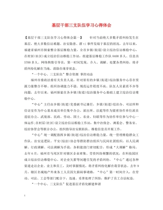 基层干部三支队伍学习心得体会 