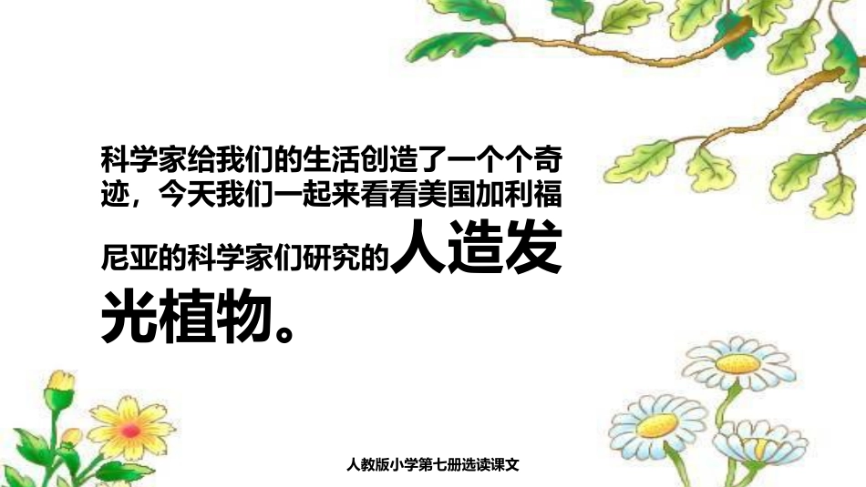 任玉婷《人造发光植物》_第3页