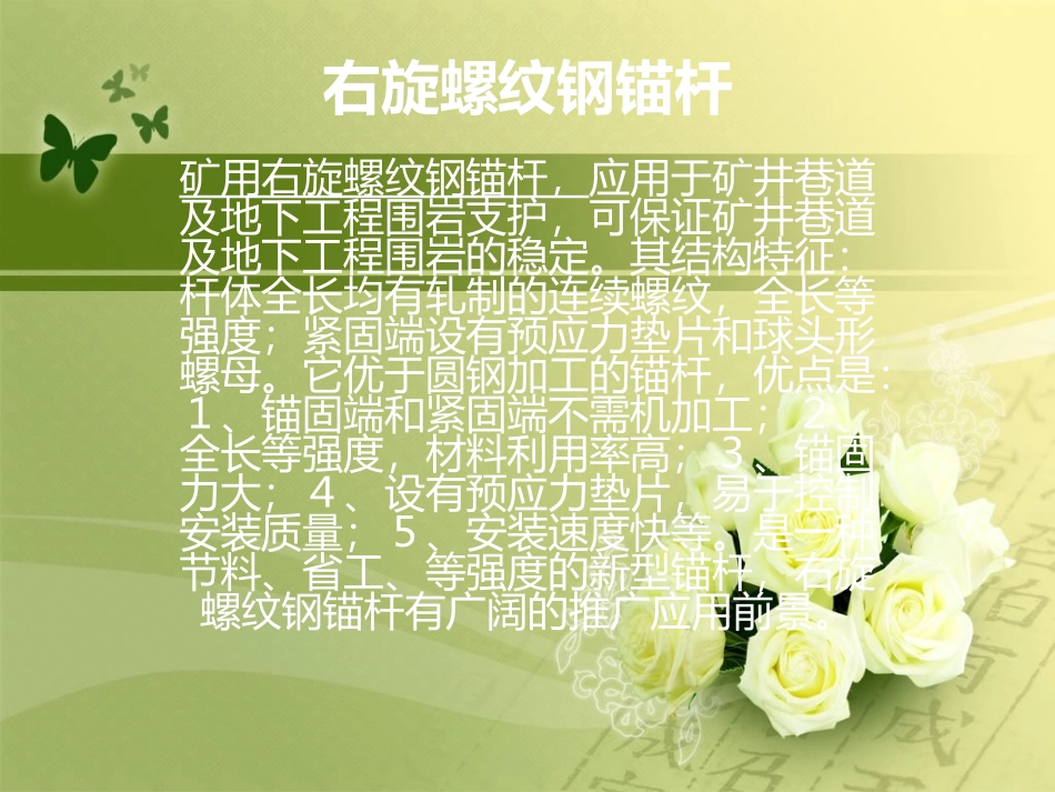 右旋螺纹钢锚杆_第1页