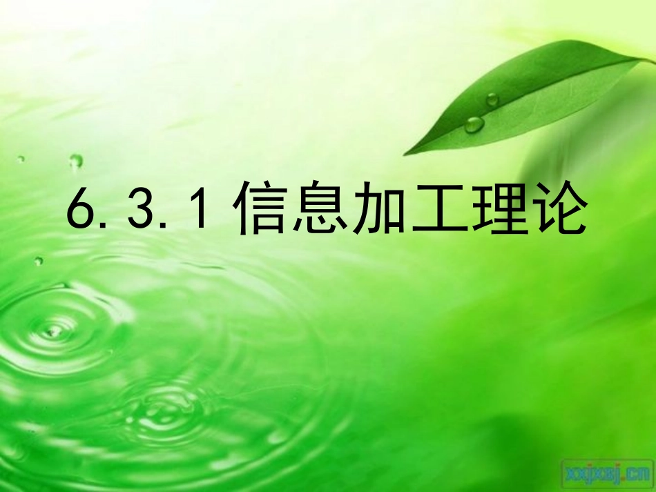 信息加工理论_第1页