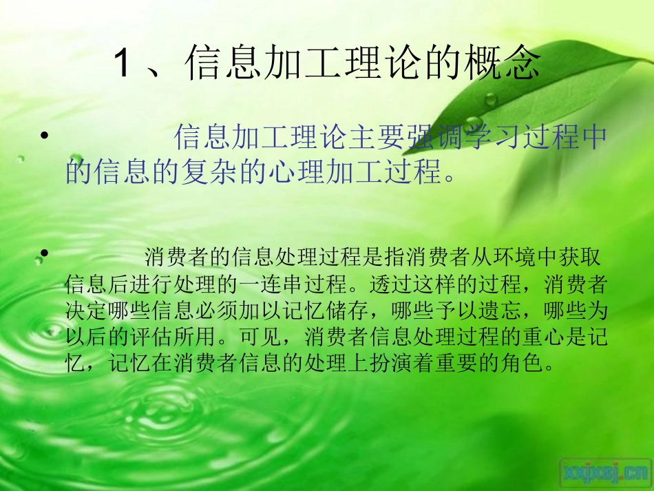 信息加工理论_第3页