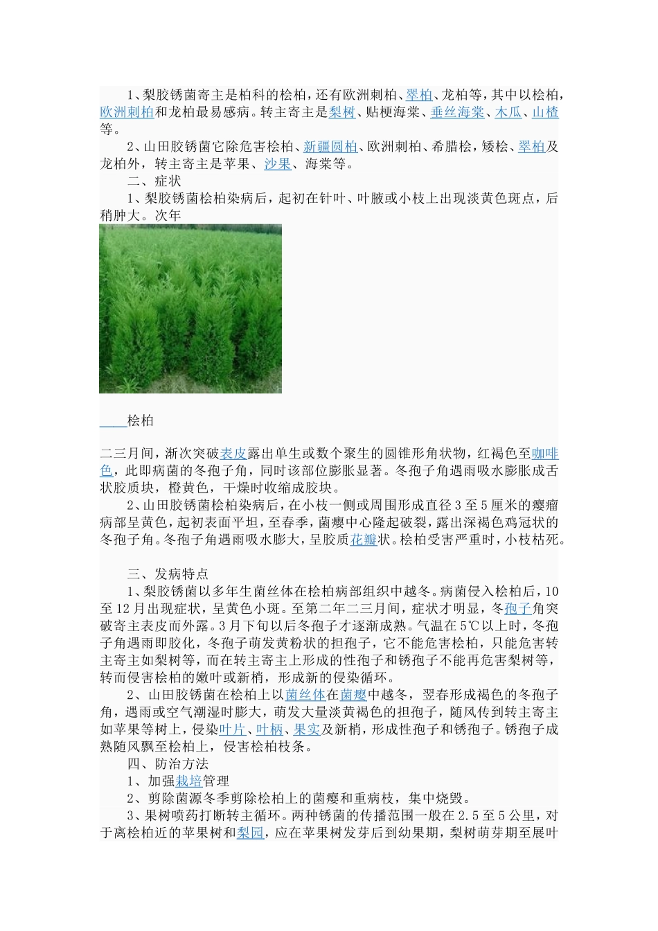 桧柏种植技术_第3页