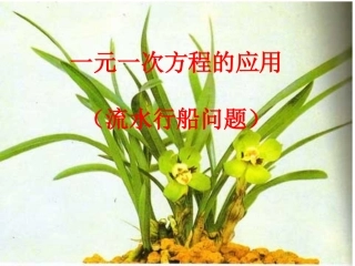 一元一次方程的应用  流水行船问题