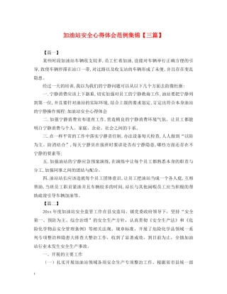 加油站安全心得体会范例集锦【三篇】 