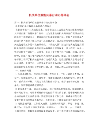 机关单位效能风暴行动心得体会 