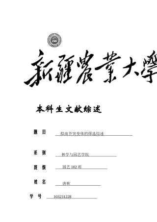 拟南芥突变体的筛选与鉴定综述