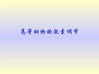 高等动物神经激素调节