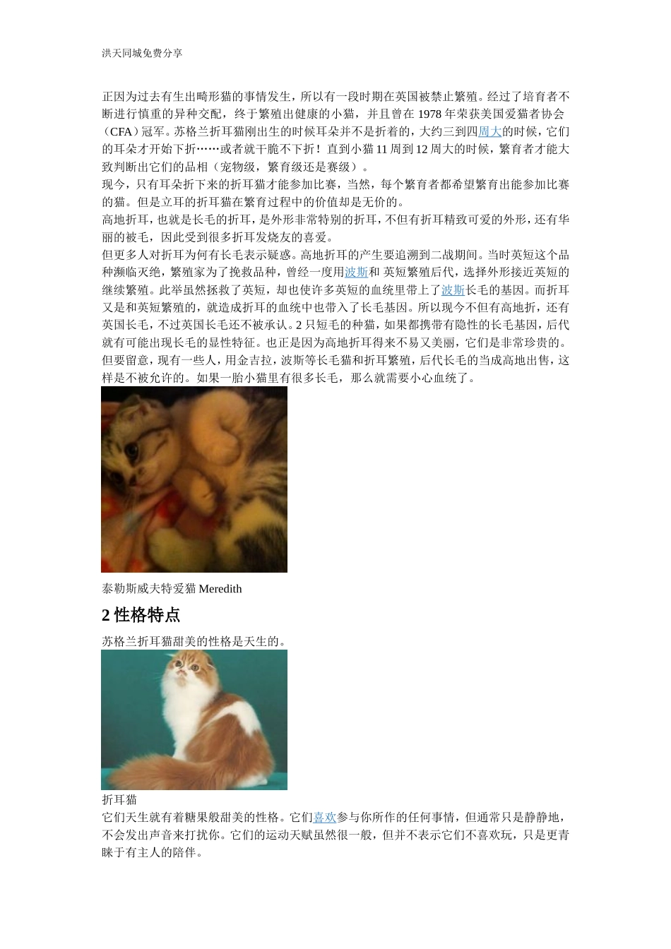 折耳猫介绍、选购技巧及配种问题详解_第3页
