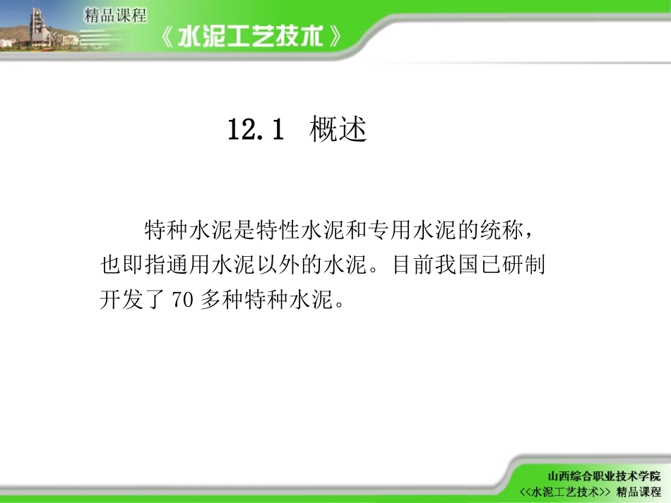 特种水泥生产技术_第2页