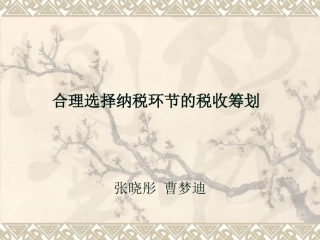 消费税合理选择纳税环节