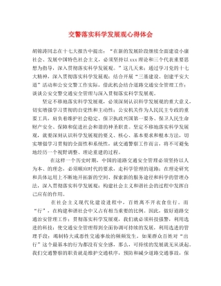 交警落实科学发展观心得体会 (000002)