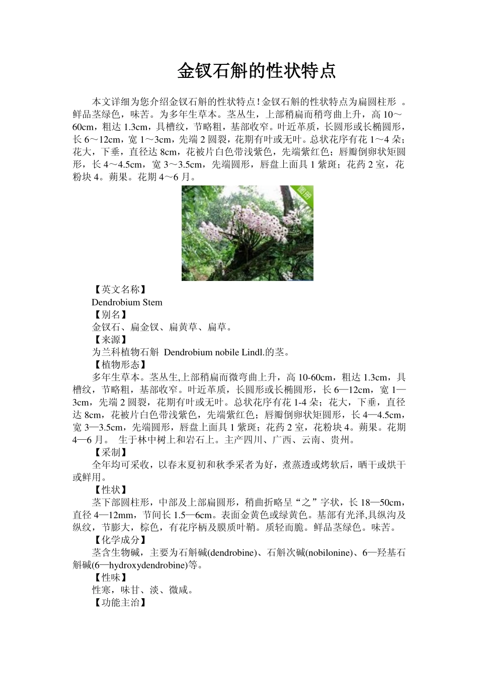 金钗石斛的性状特点_第1页