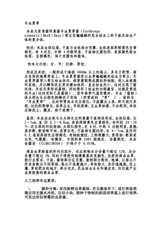 商品冬虫夏草鉴别