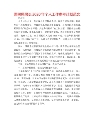 国税局局长2020年个人工作参考计划范文 