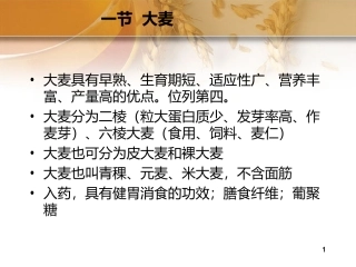 杂粮食品加工