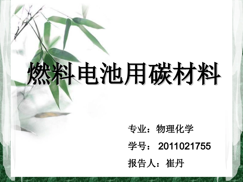 燃料电池用碳材料_第1页