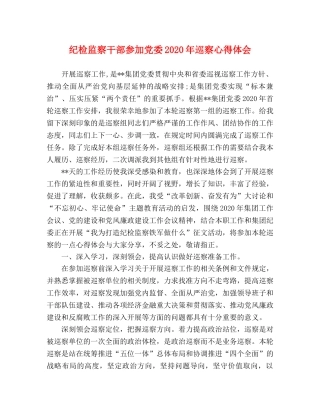 纪检监察干部参加党委2020年巡察心得体会 