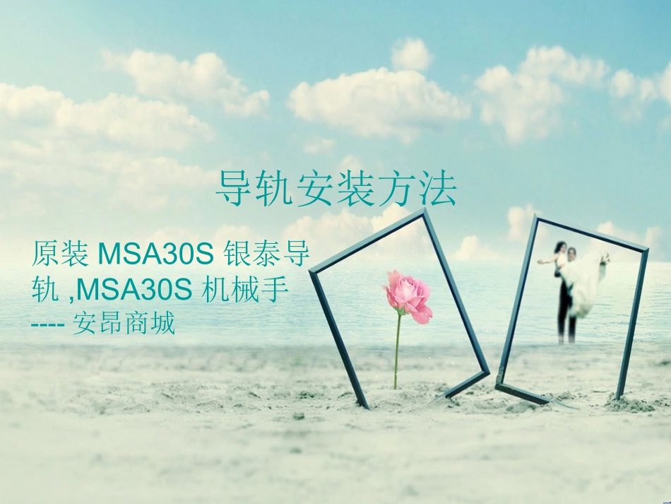 原装MSA30S银泰导轨,MSA30S机械手_第1页