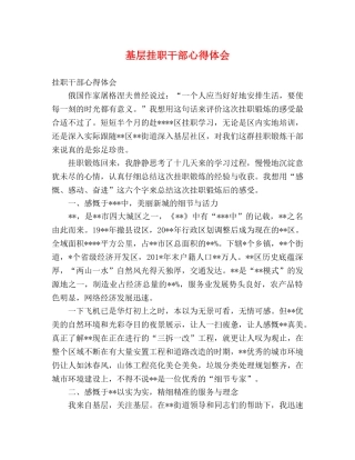 基层挂职干部心得体会 