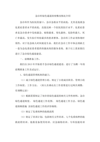 急诊绿色通道工作总结