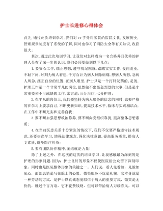 护士长进修心得体会 