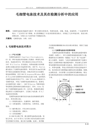 毛细管电泳技术在检测分析中的应用