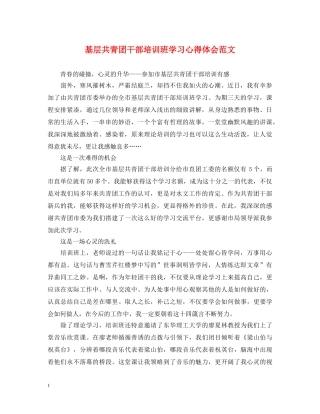 基层共青团干部培训班学习心得体会范文 