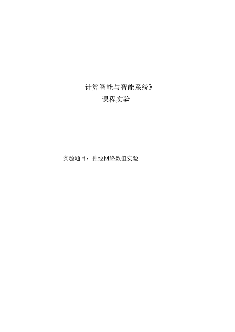 计算智能与智能系统课程实验2：神经网络数值实验_第1页