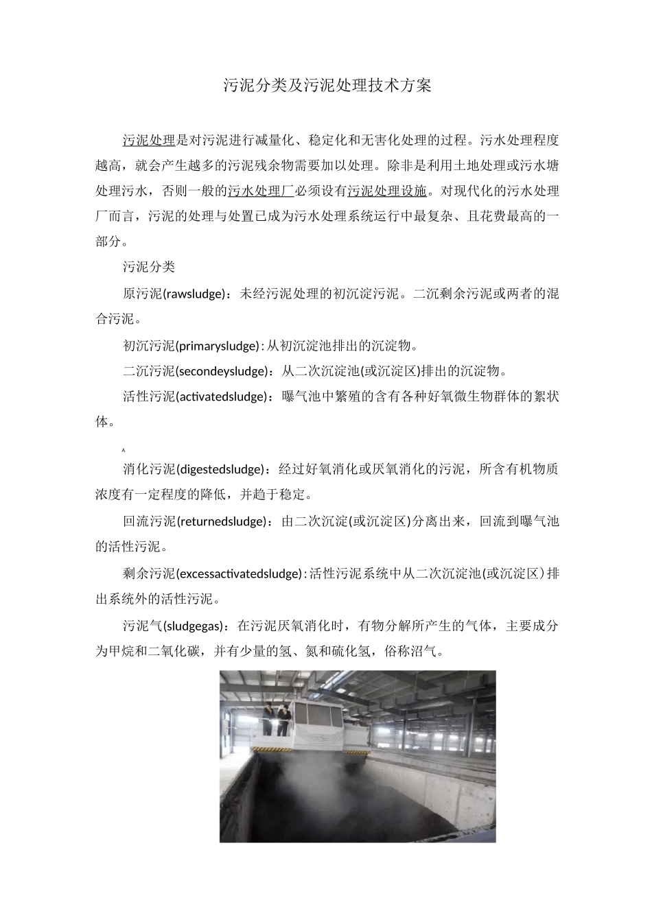 污泥分类及污泥处理技术方案_第1页