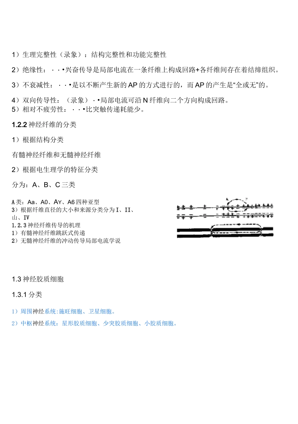 神经系统生理_第2页