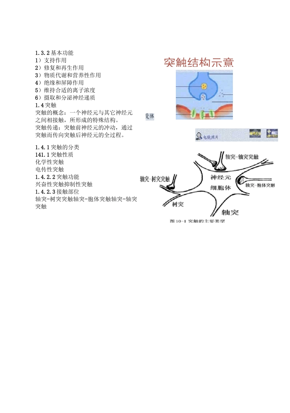 神经系统生理_第3页