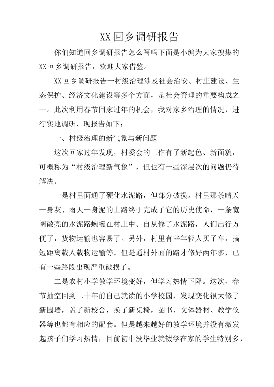 XX回乡调研报告_第1页