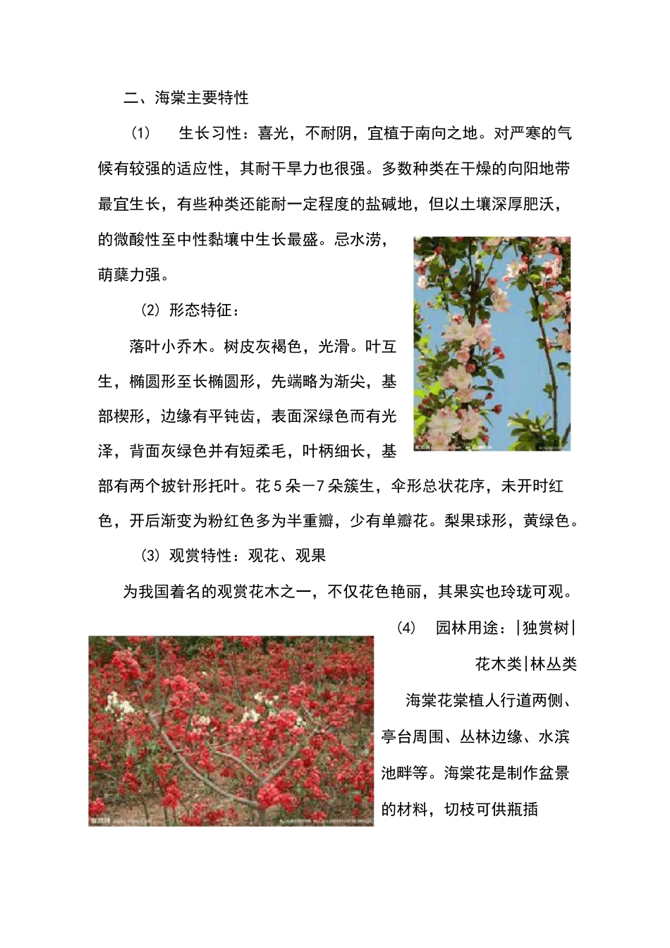 海棠栽培技术_第2页