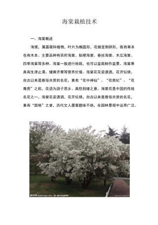 海棠栽培技术