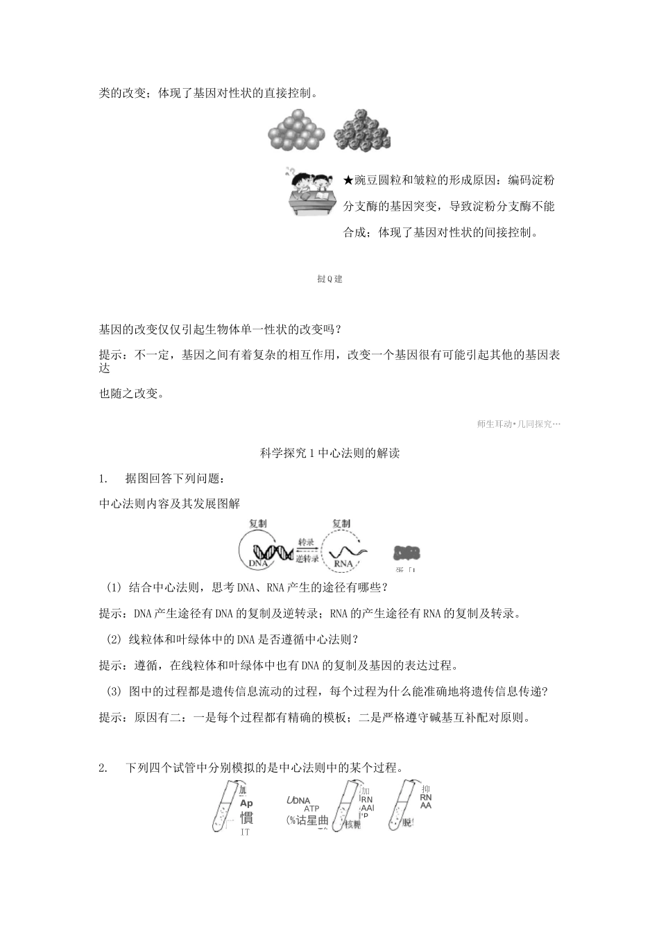 高中生物第4章基因的表达第2节基因对性状的控制学案新人教版_第3页
