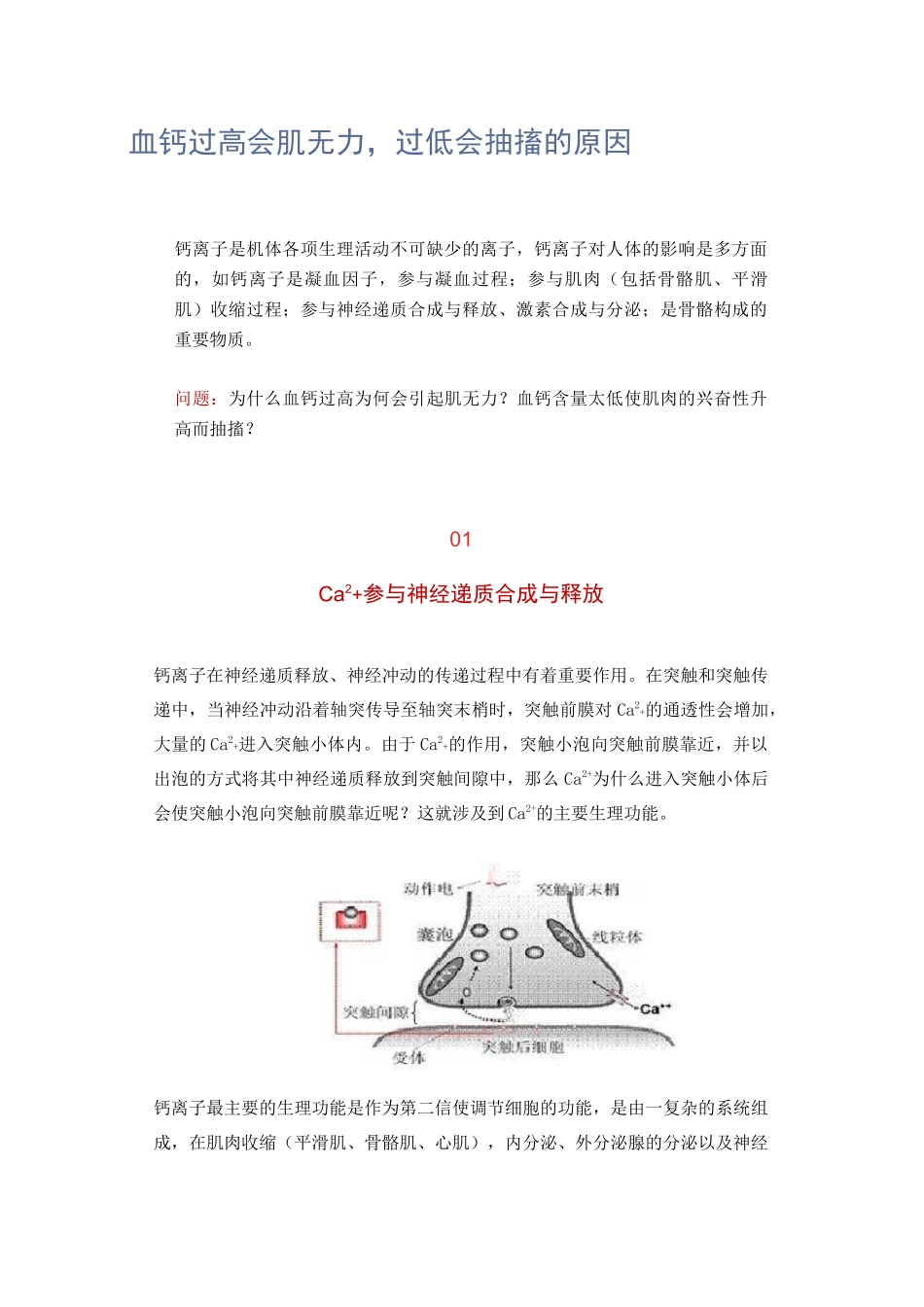 血钙过高会肌无力,过低会抽搐的原因_第1页