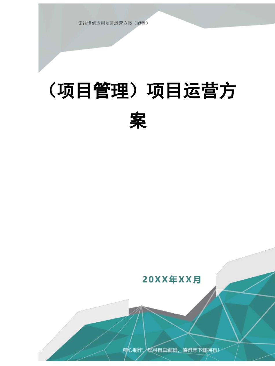 [项目管理]项目运营方案_第1页