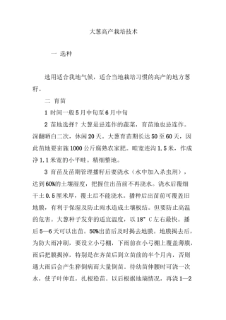 大葱高产栽培技术