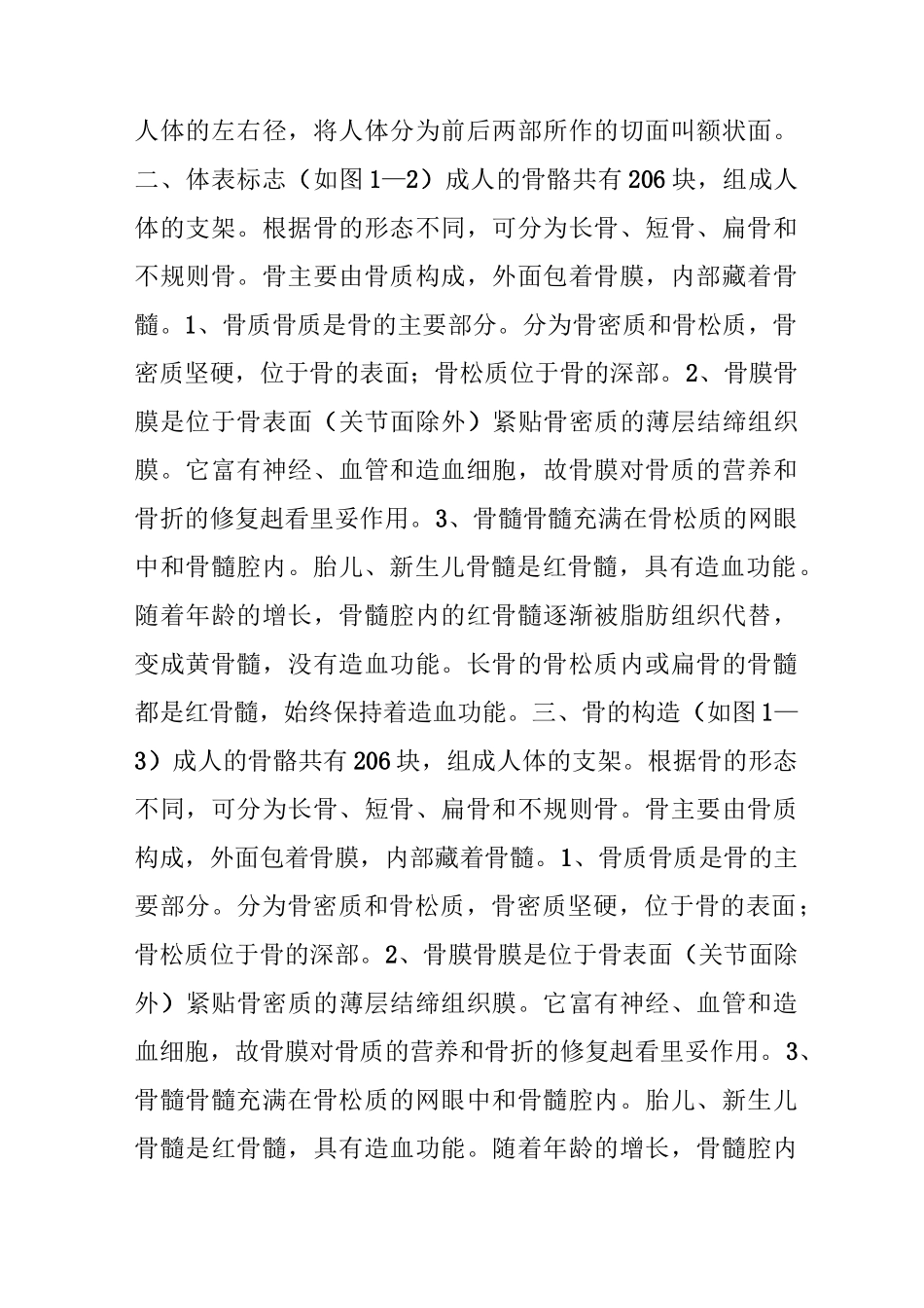 人体骨骼结构_第2页