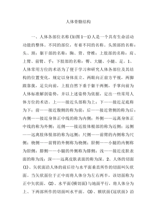 人体骨骼结构