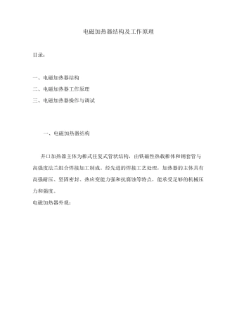 电磁加热器结构和工作原理