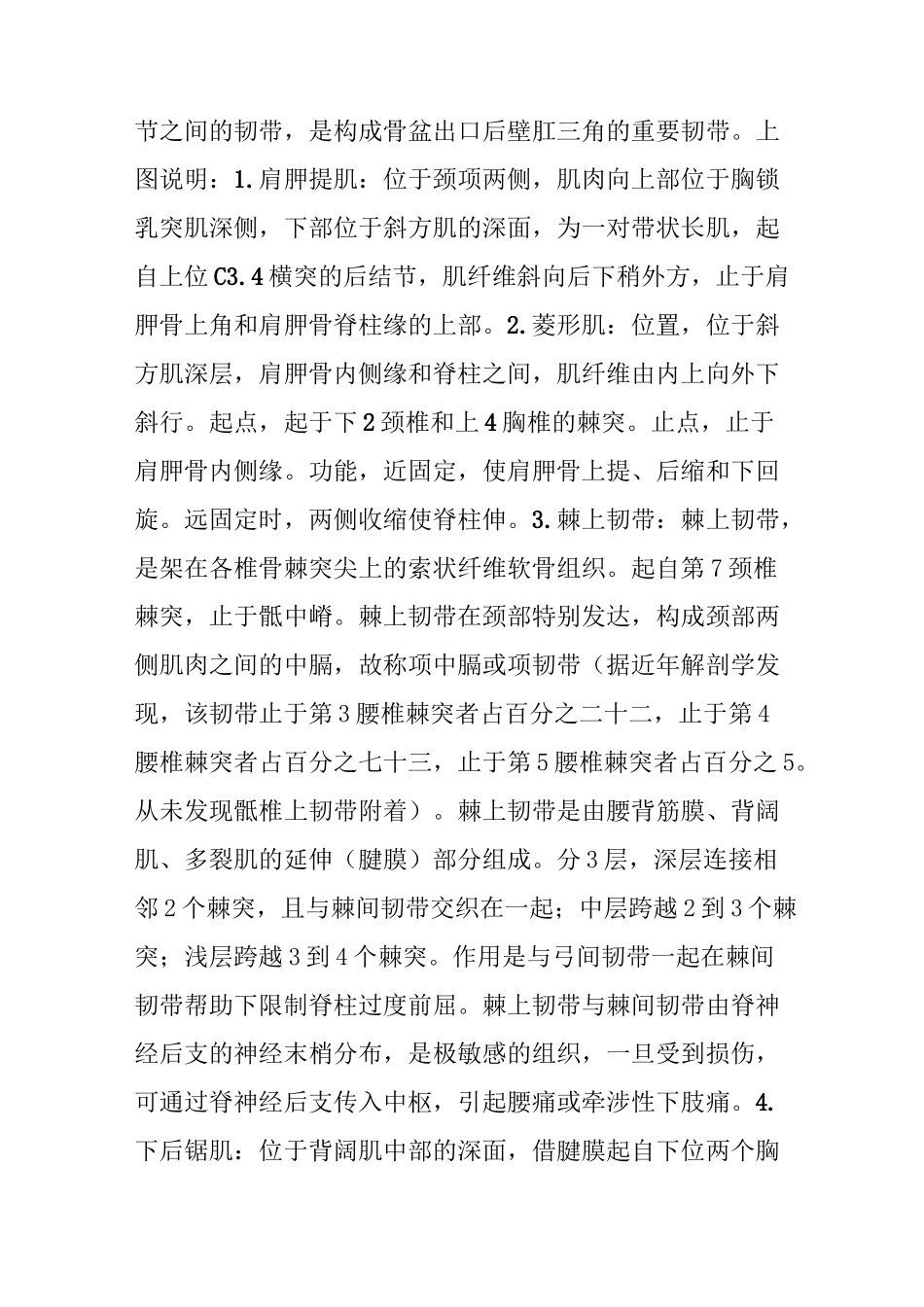 史上最全肌肉部位图解(上)_第3页