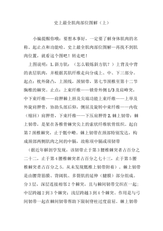 史上最全肌肉部位图解(上)