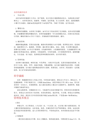 水杉的栽培技术