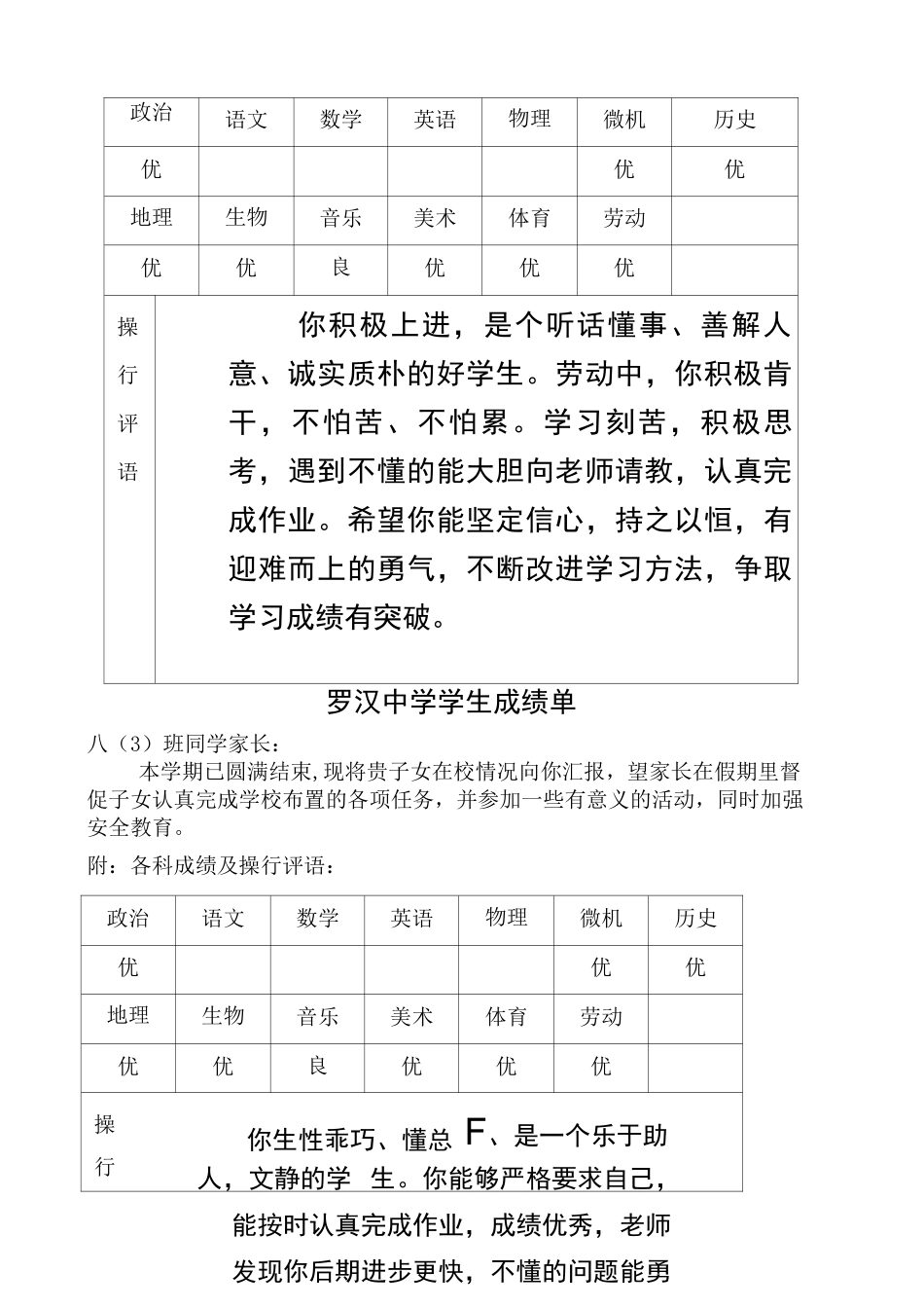 初中学生成绩报告单模板 _第3页