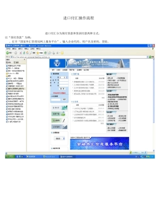进口付汇操作流程